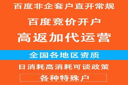 SEM搜索引擎优化策略解析与应用案例