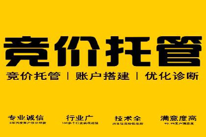 百度推广与品牌建设：成功品牌推广案例解析